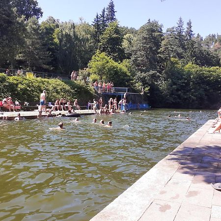 Penzion U Smrku Luleč Extérieur photo